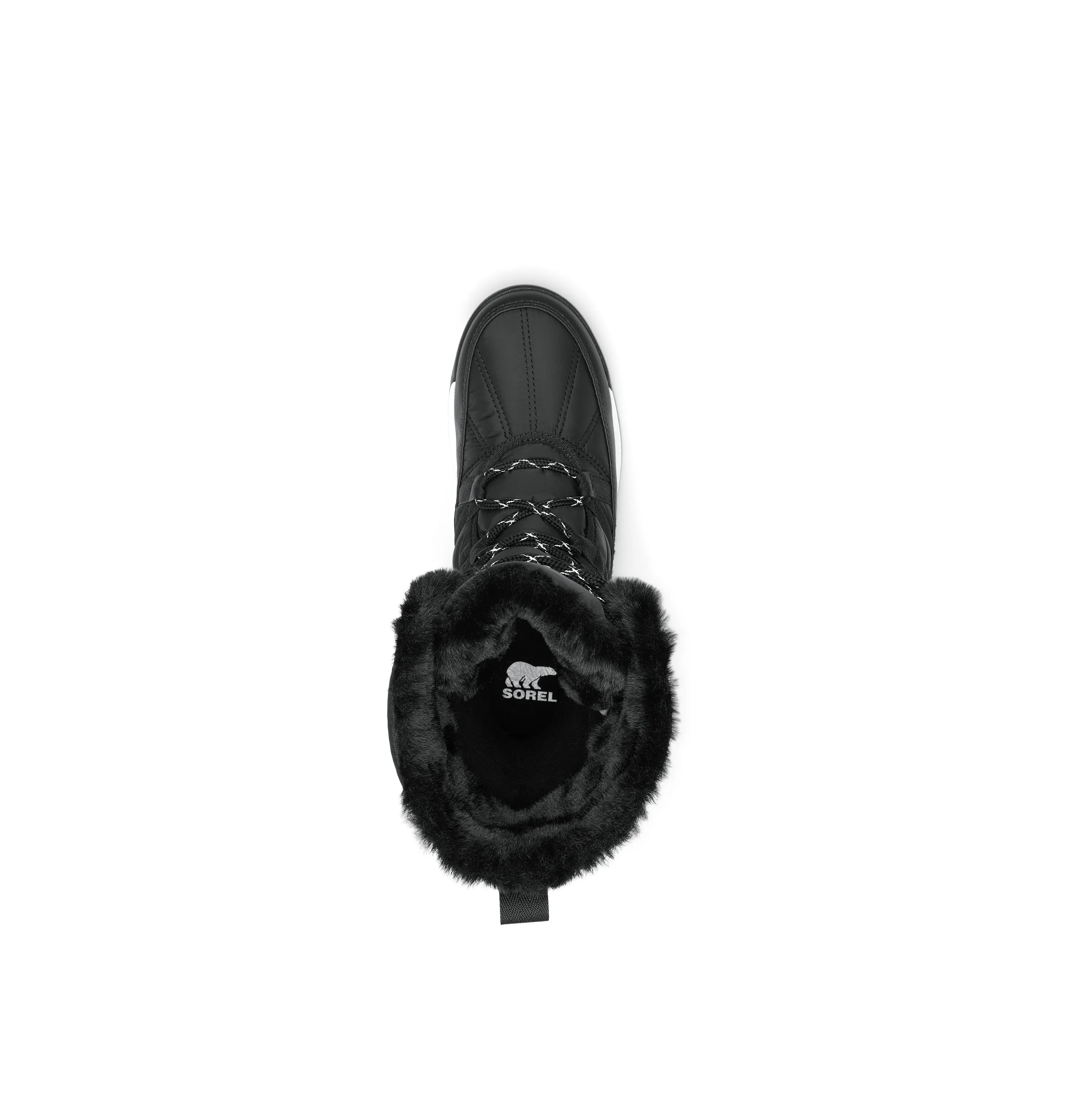 Black & Sea Salt Whitney II Plus Tall Lace Boots