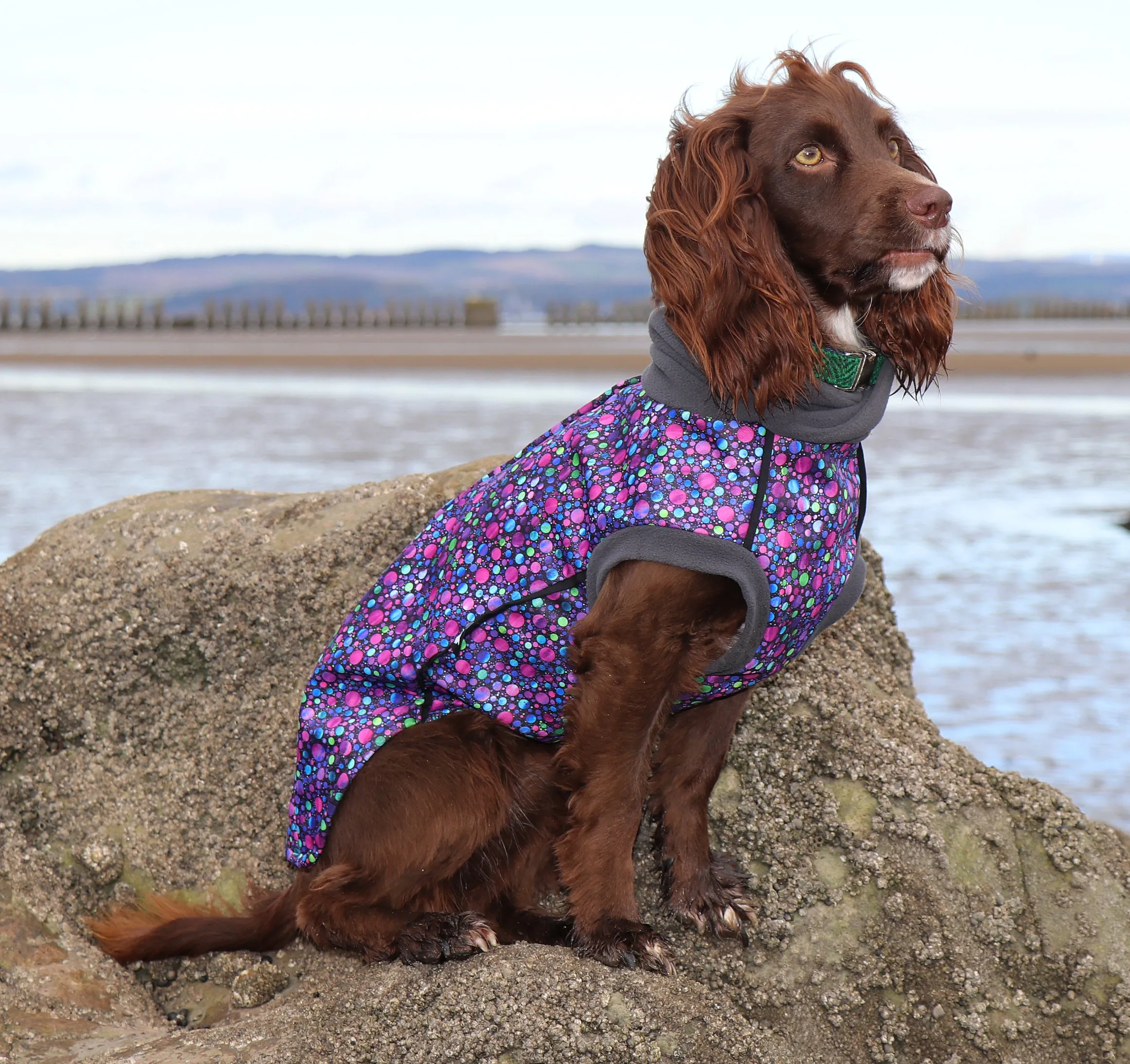 Bubbalicious Waterproof Microfleece McTog Dog Jumper - Back Poppers