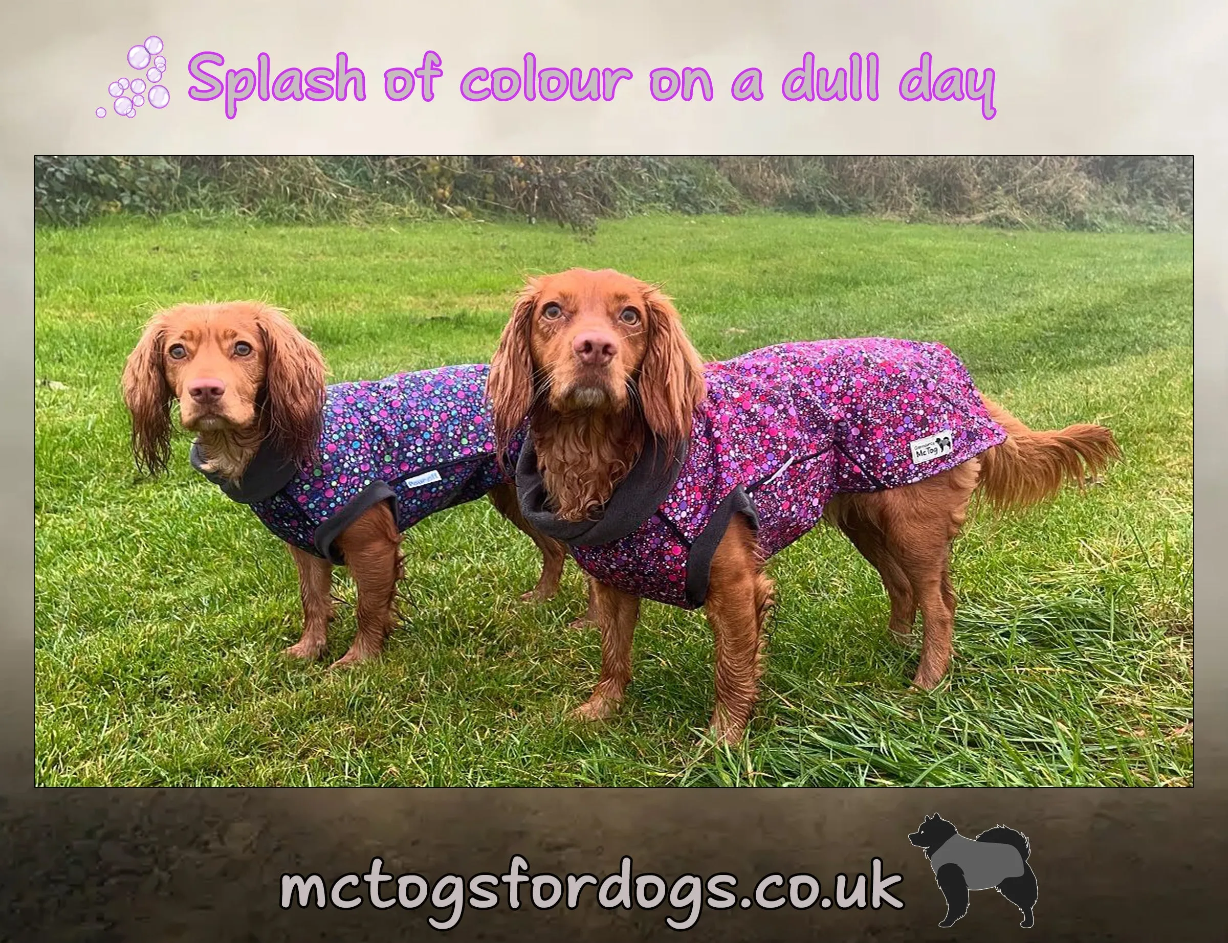 Bubbalicious Waterproof Microfleece McTog Dog Jumper - Back Poppers