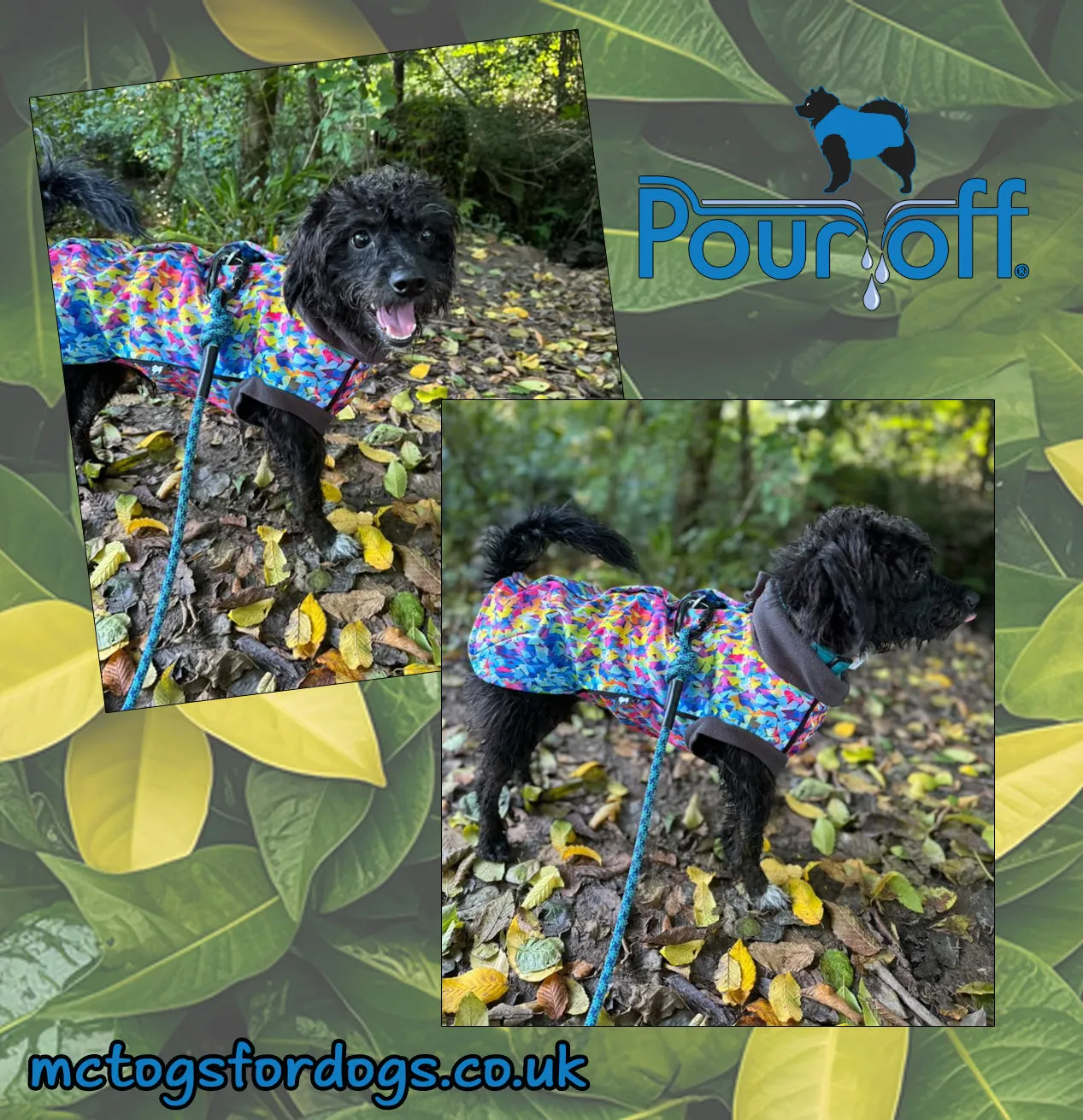 Razzle Dazzle Waterproof Microfleece McTog Dog Jumper - Full Poppers Step In