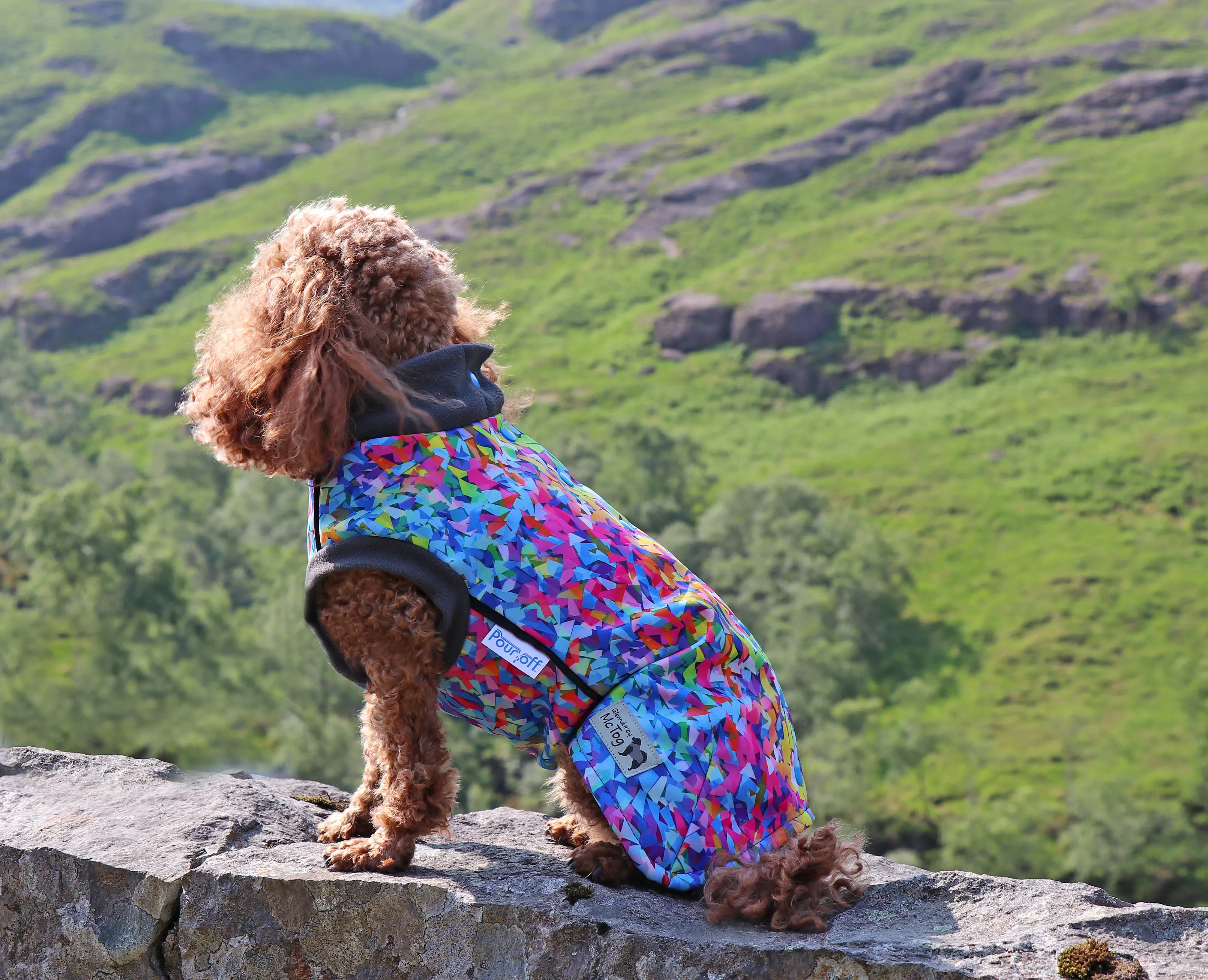 Razzle Dazzle Waterproof Microfleece McTog Dog Jumper - Full Poppers Step In