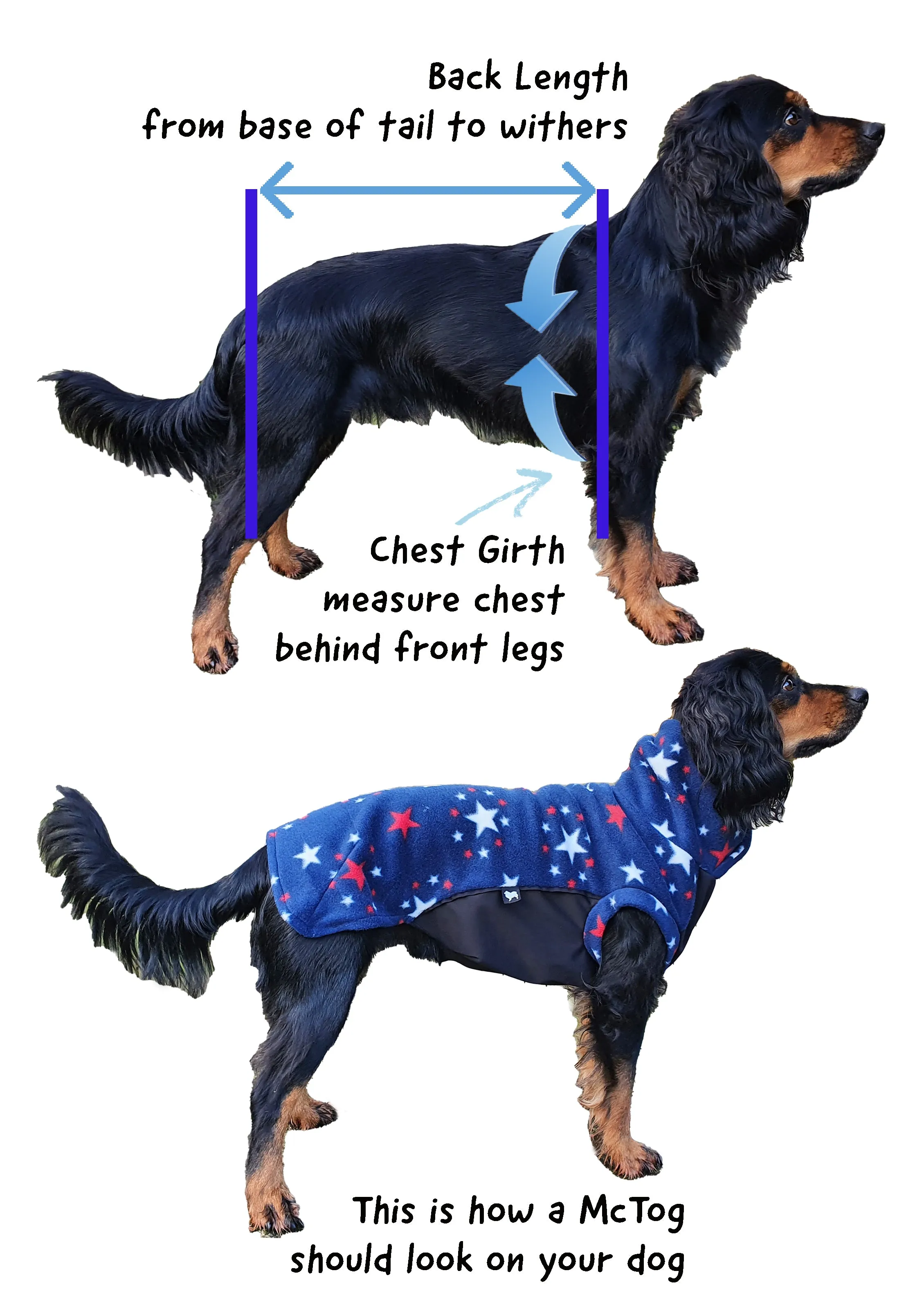 Razzle Dazzle Waterproof Microfleece McTog Dog Jumper - Full Poppers Step In