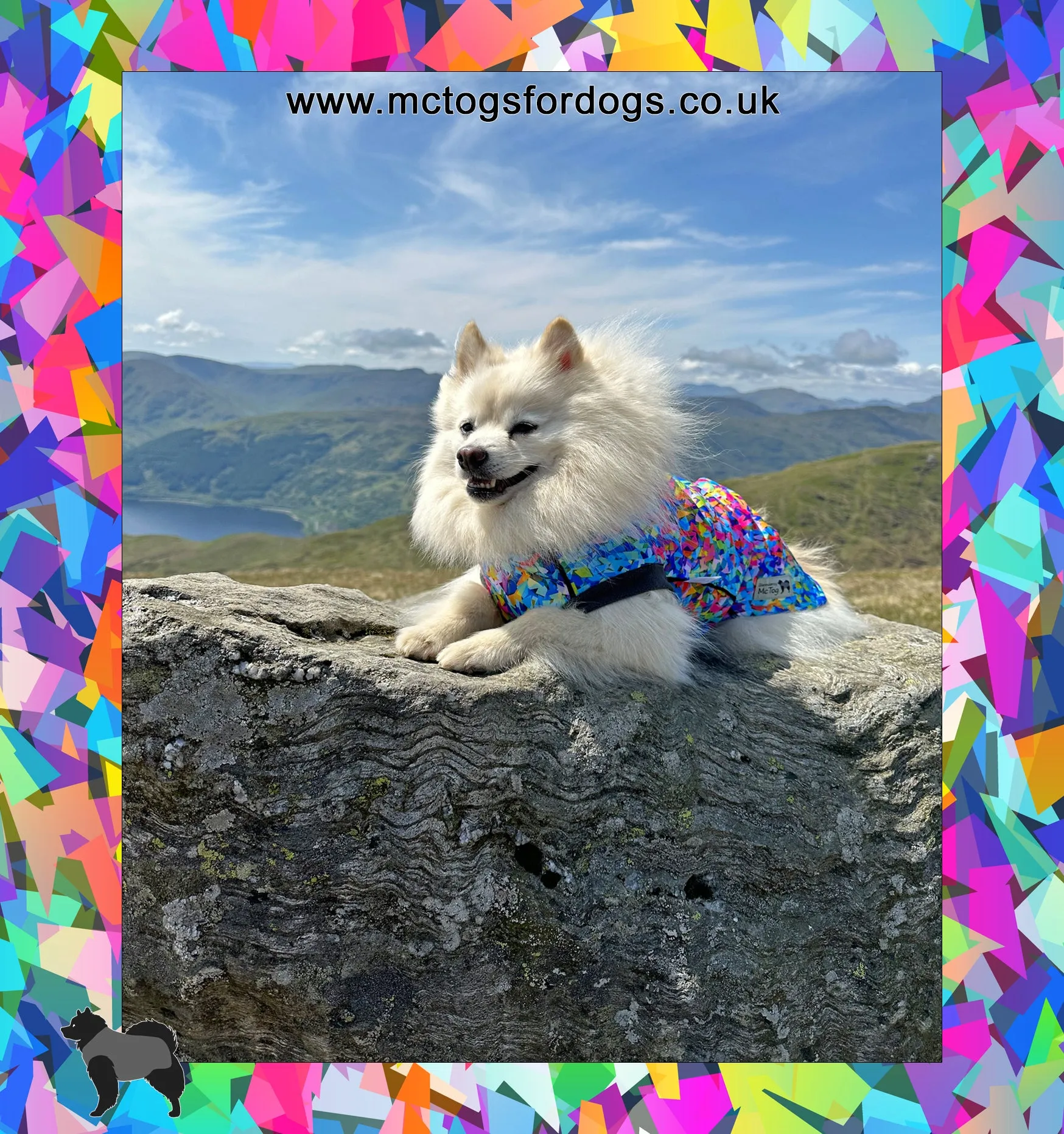 Razzle Dazzle Waterproof Microfleece McTog Dog Jumper - Full Poppers Step In