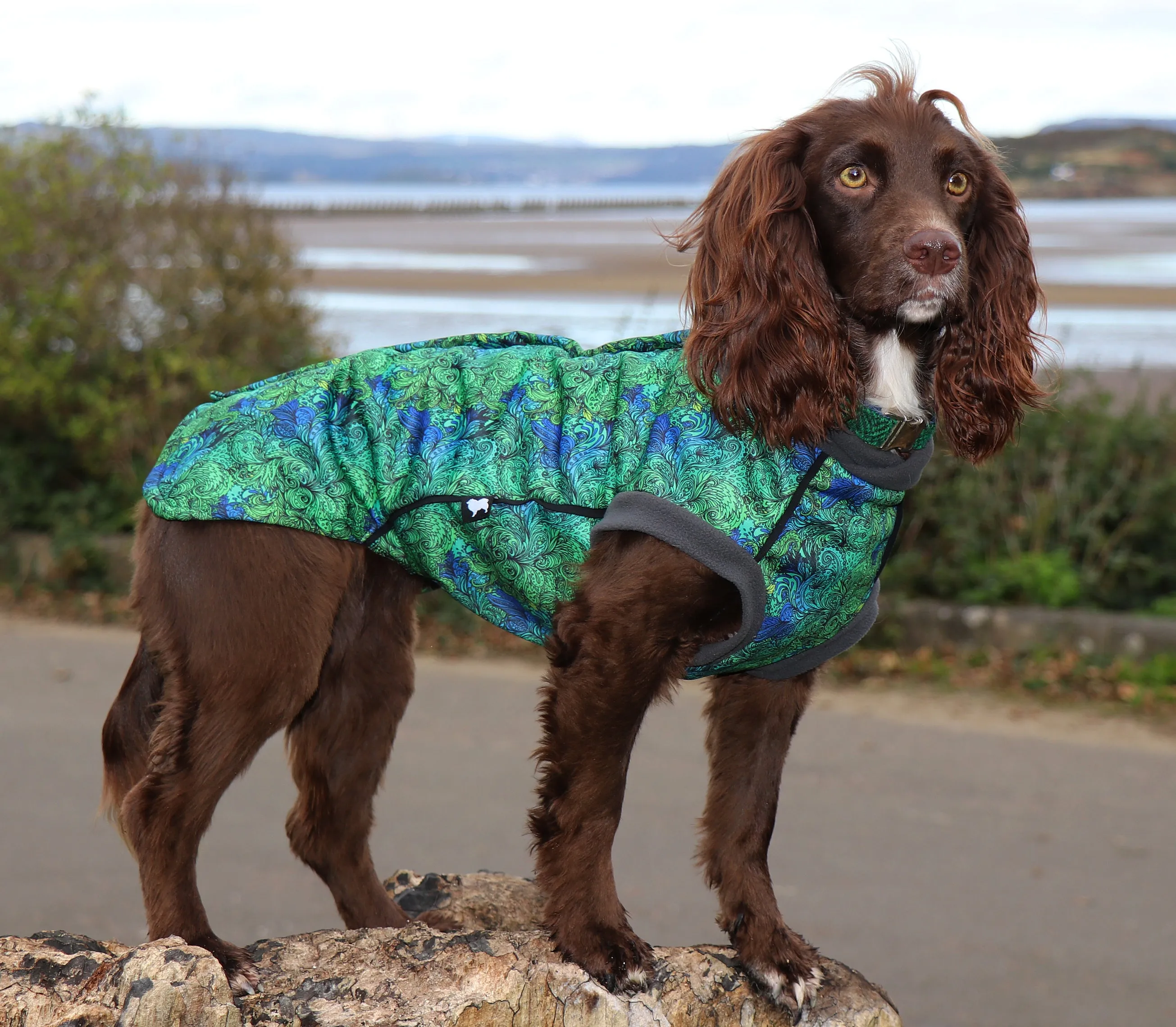 Spellbound Waterproof Microfleece McTog Dog Jumper - Full Poppers Step In