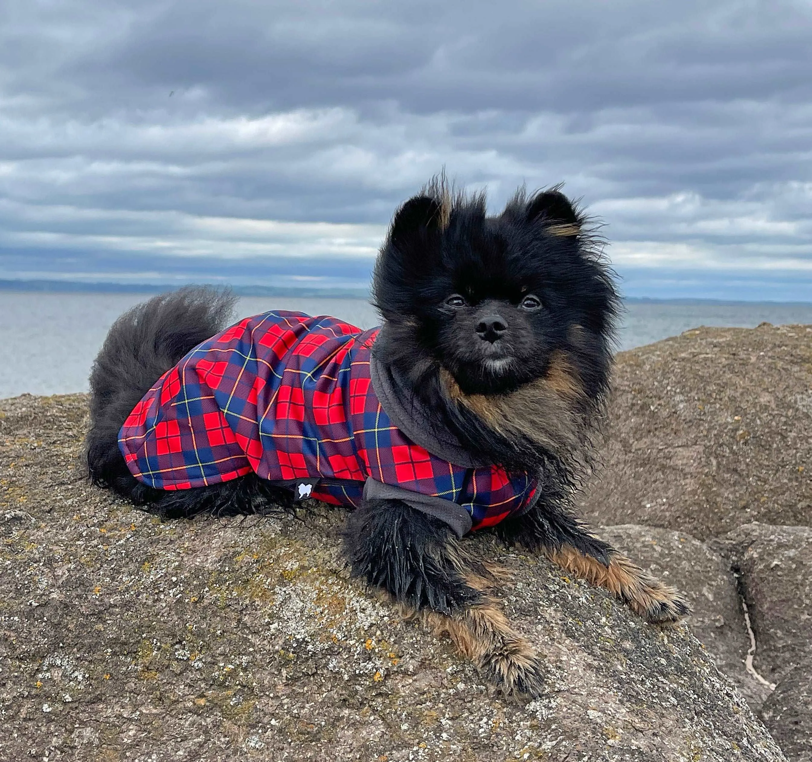 Wallace Waterproof Microfleece McTog Dog Jumper